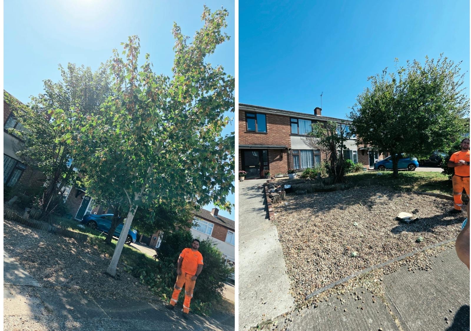Before and after tree felling by S&S Tree Services — full tree removed from front garden